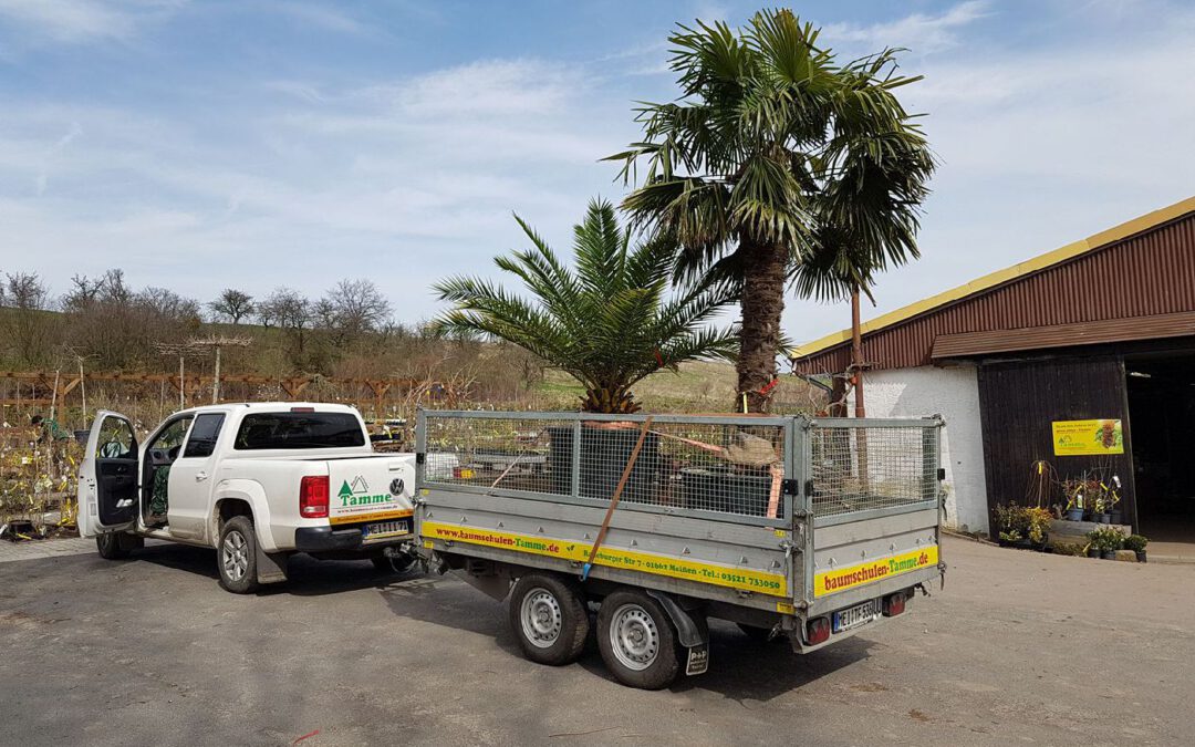 Wir suchen Gärtner*in /Landschafts-und Gartenbauer*in