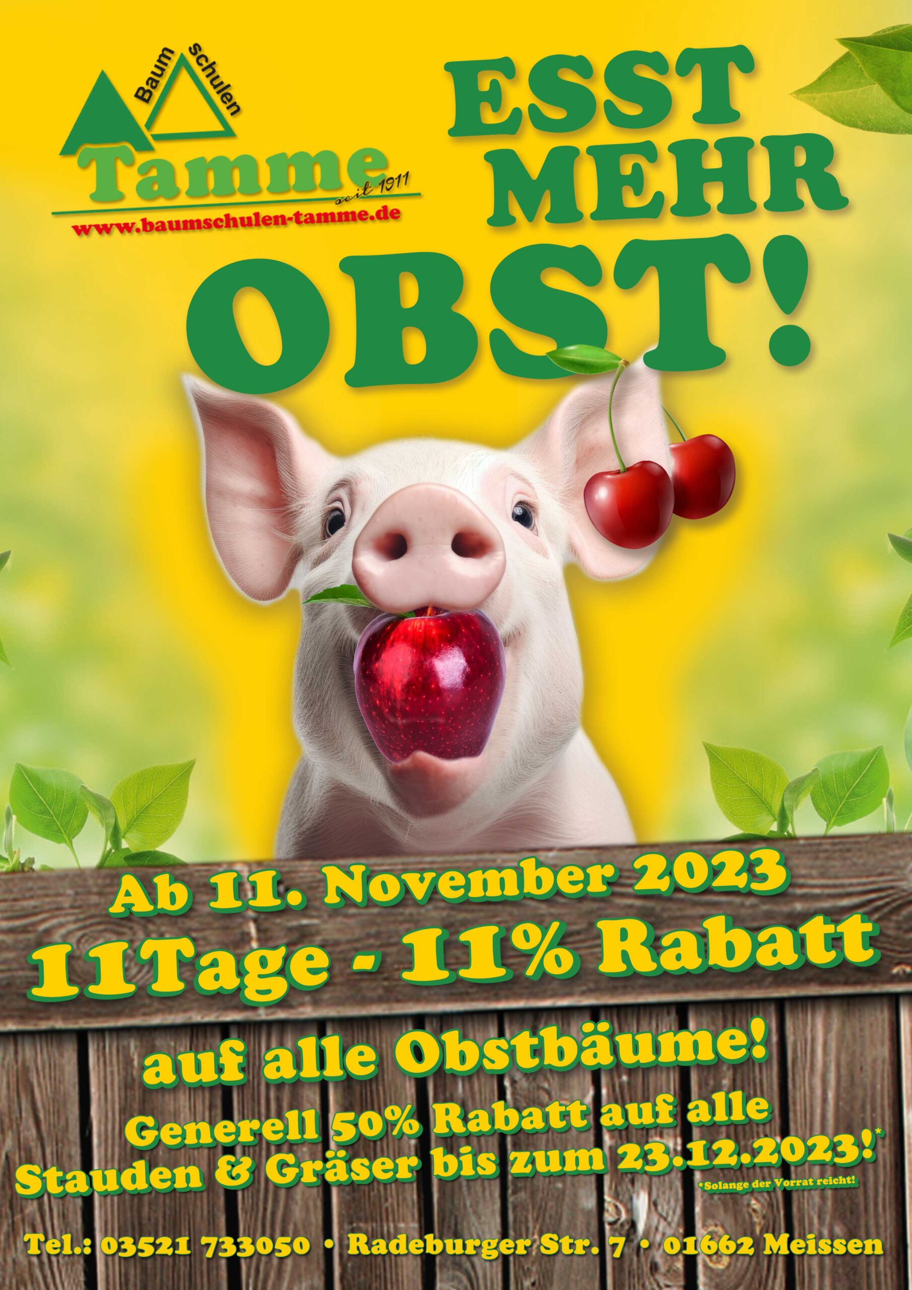 Happy surprised pig with open mouth.